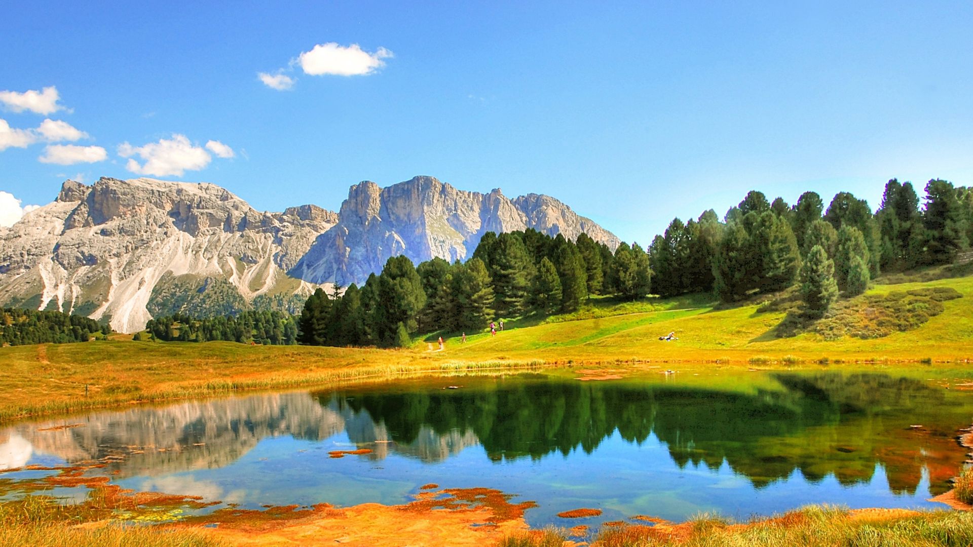 Reforestation and Agroforestry